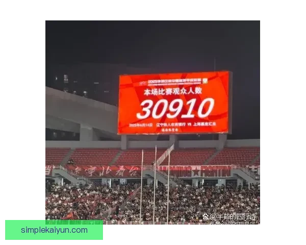 欧洲杯期间汉堡人民公园成球迷观赛热点量球迷